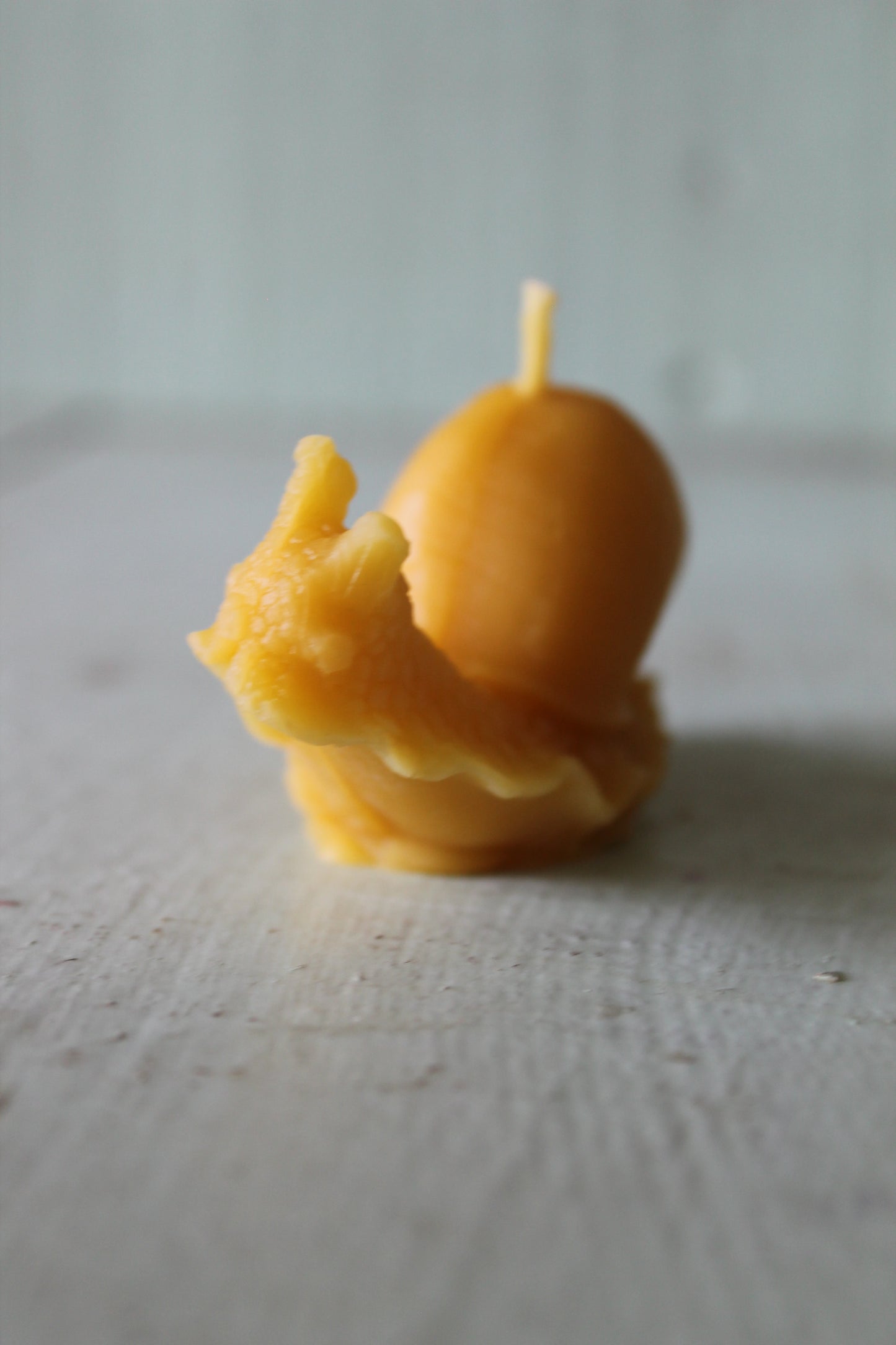 Small Snail Candle