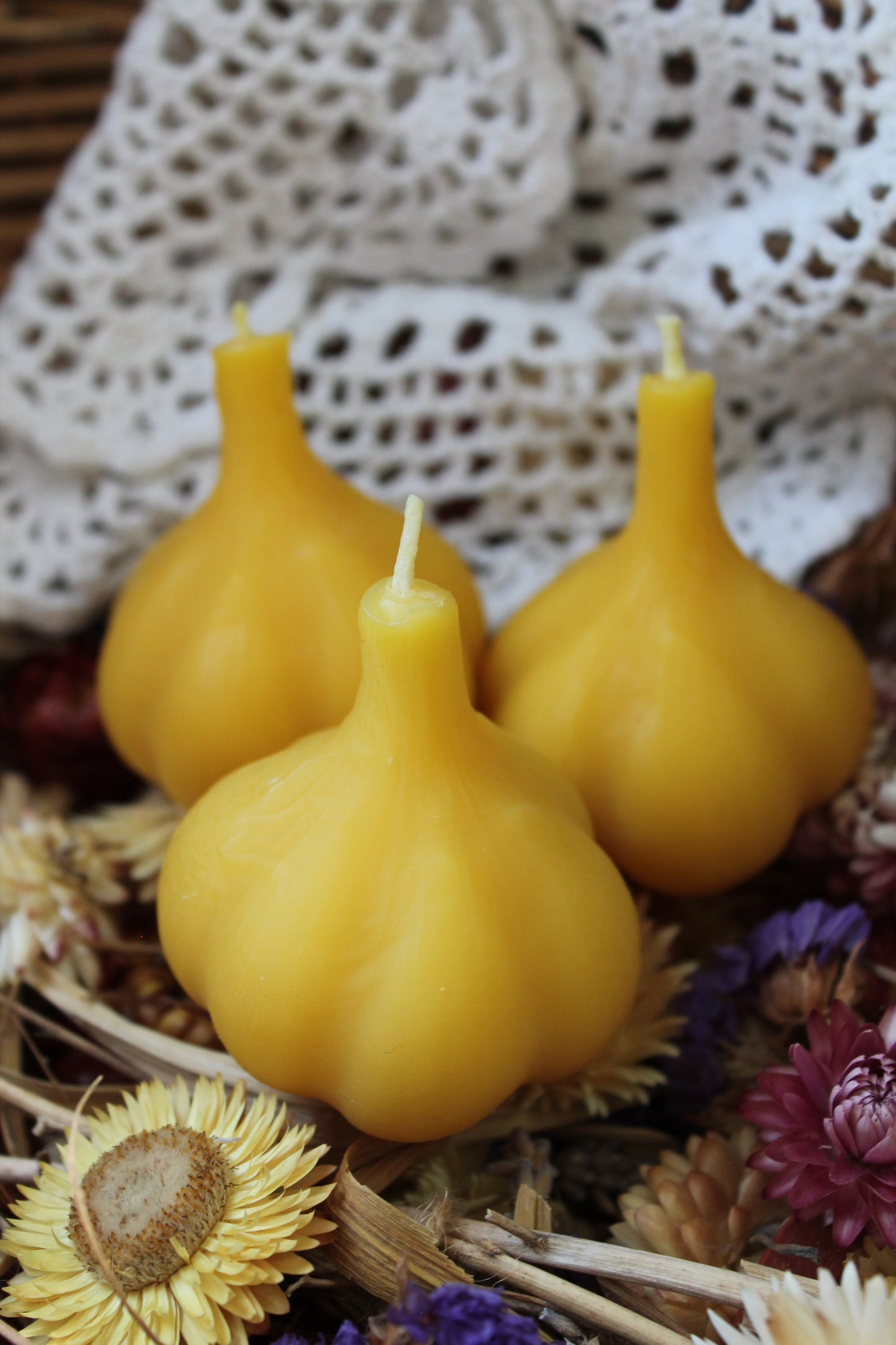 Garlic