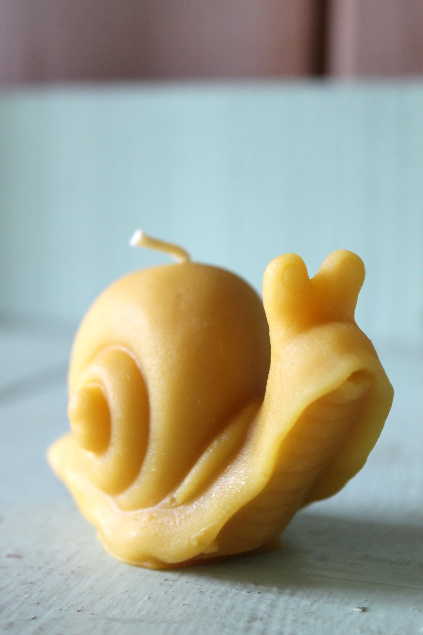 Snail Candle