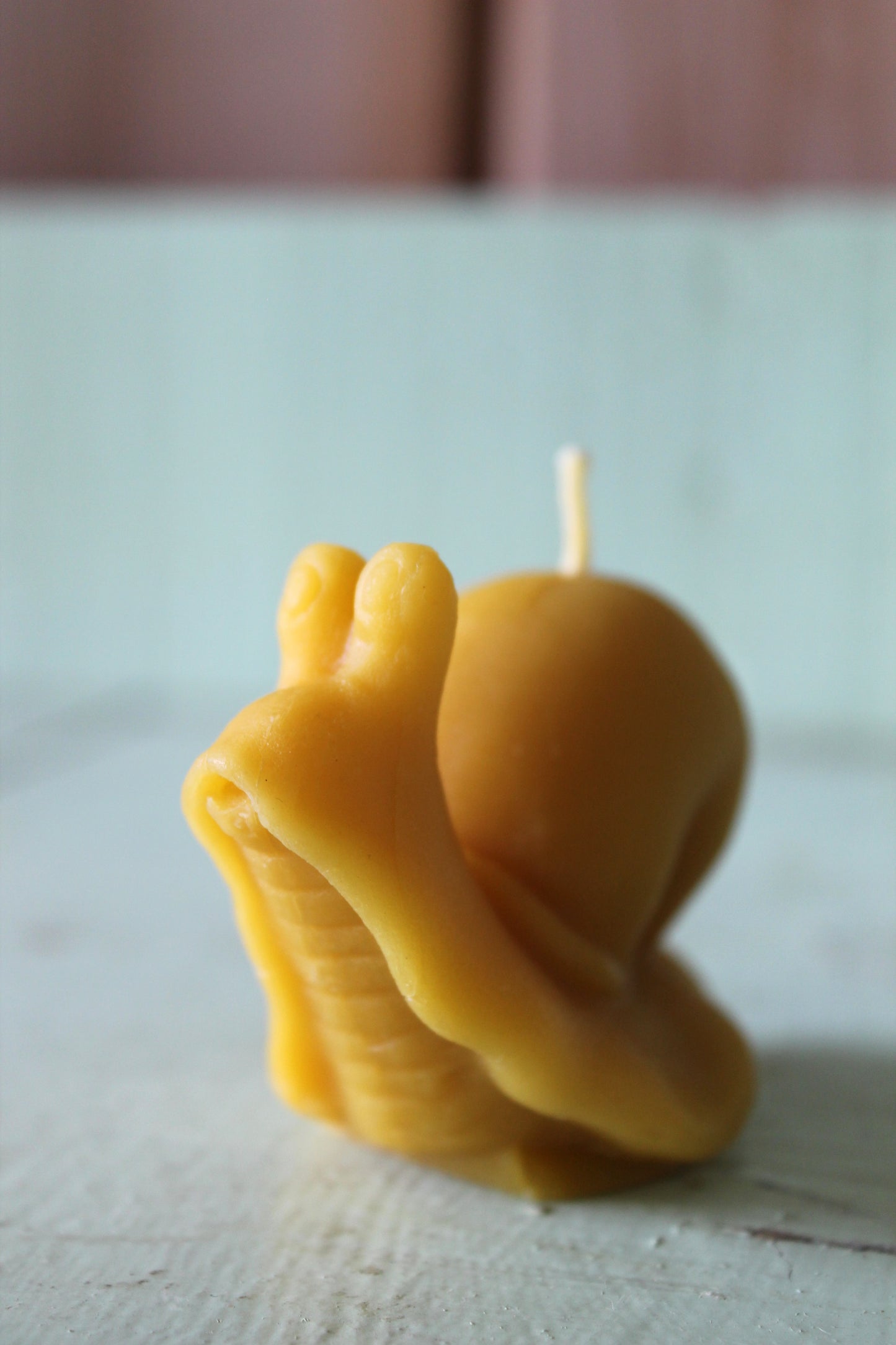 Snail Candle