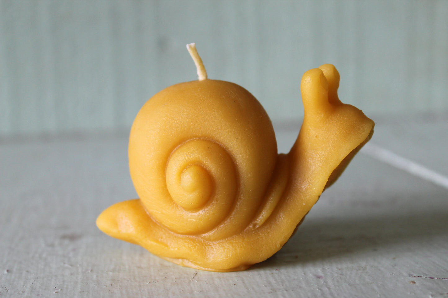 Snail Candle