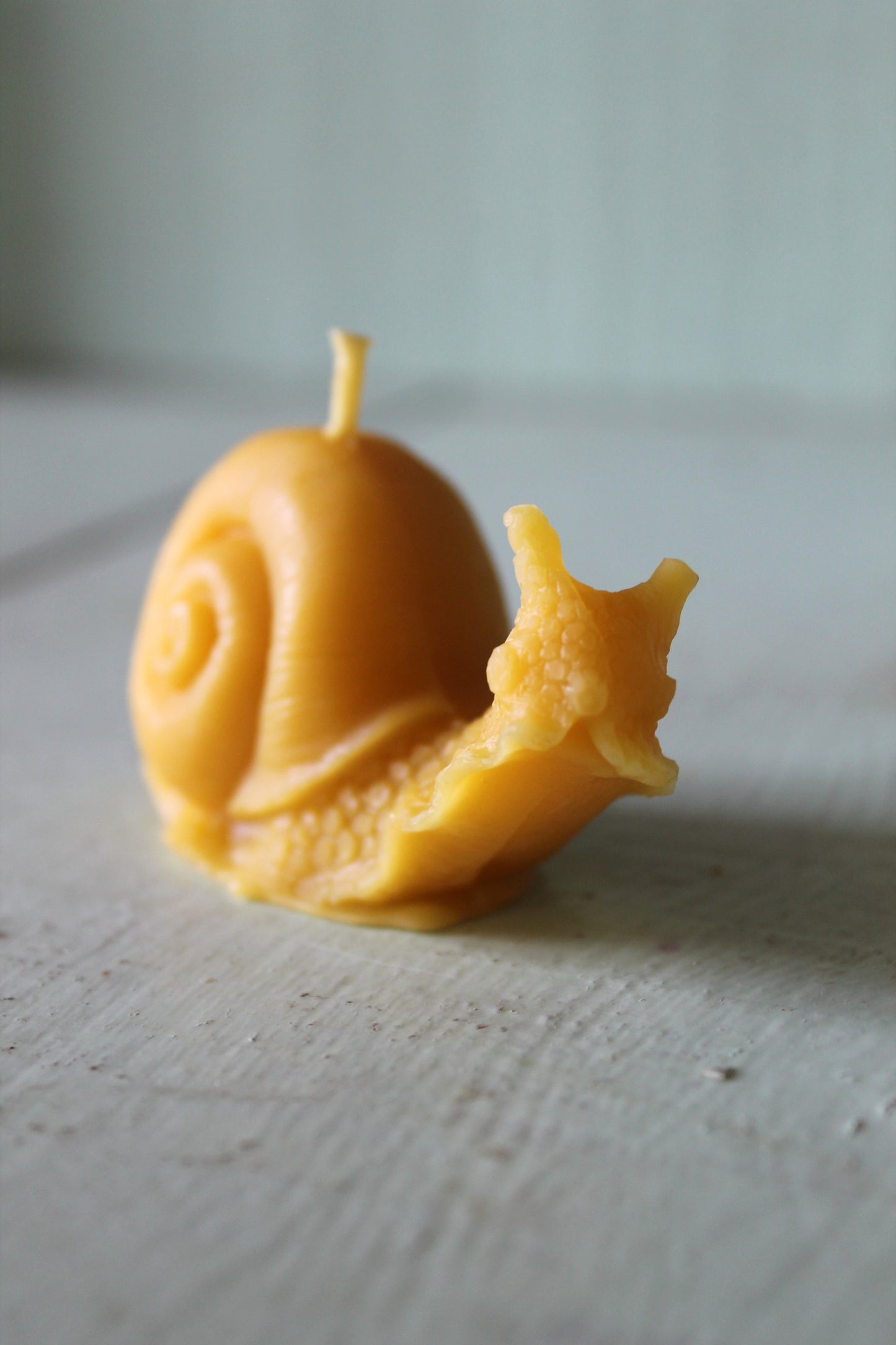 Small Snail Candle