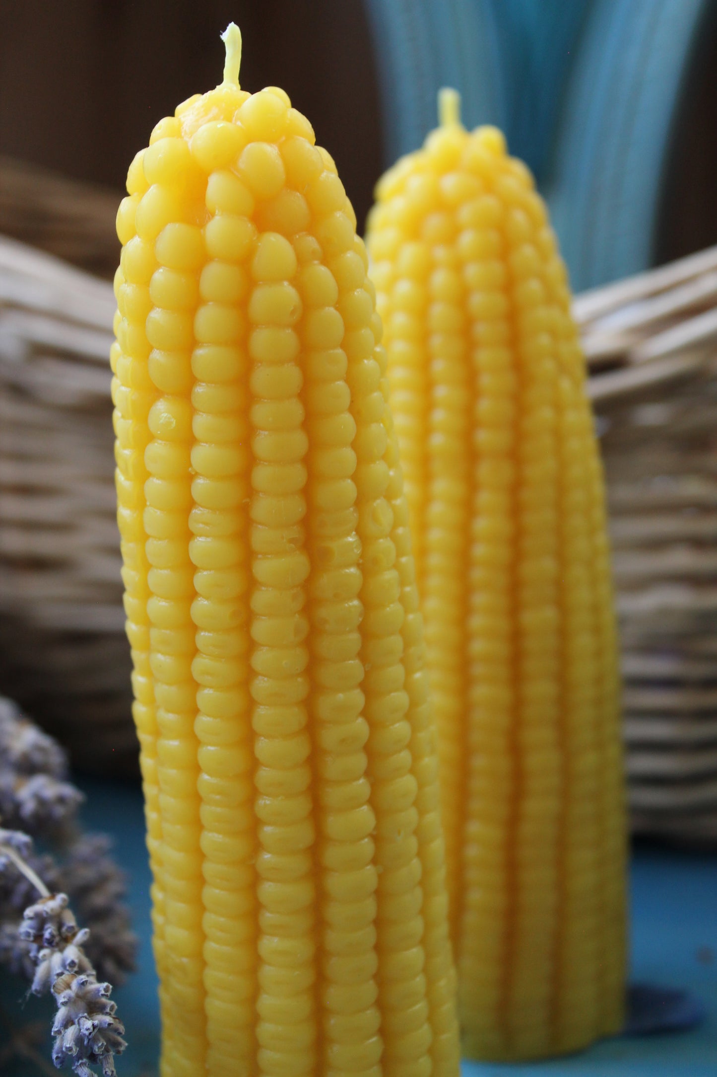 Corn
