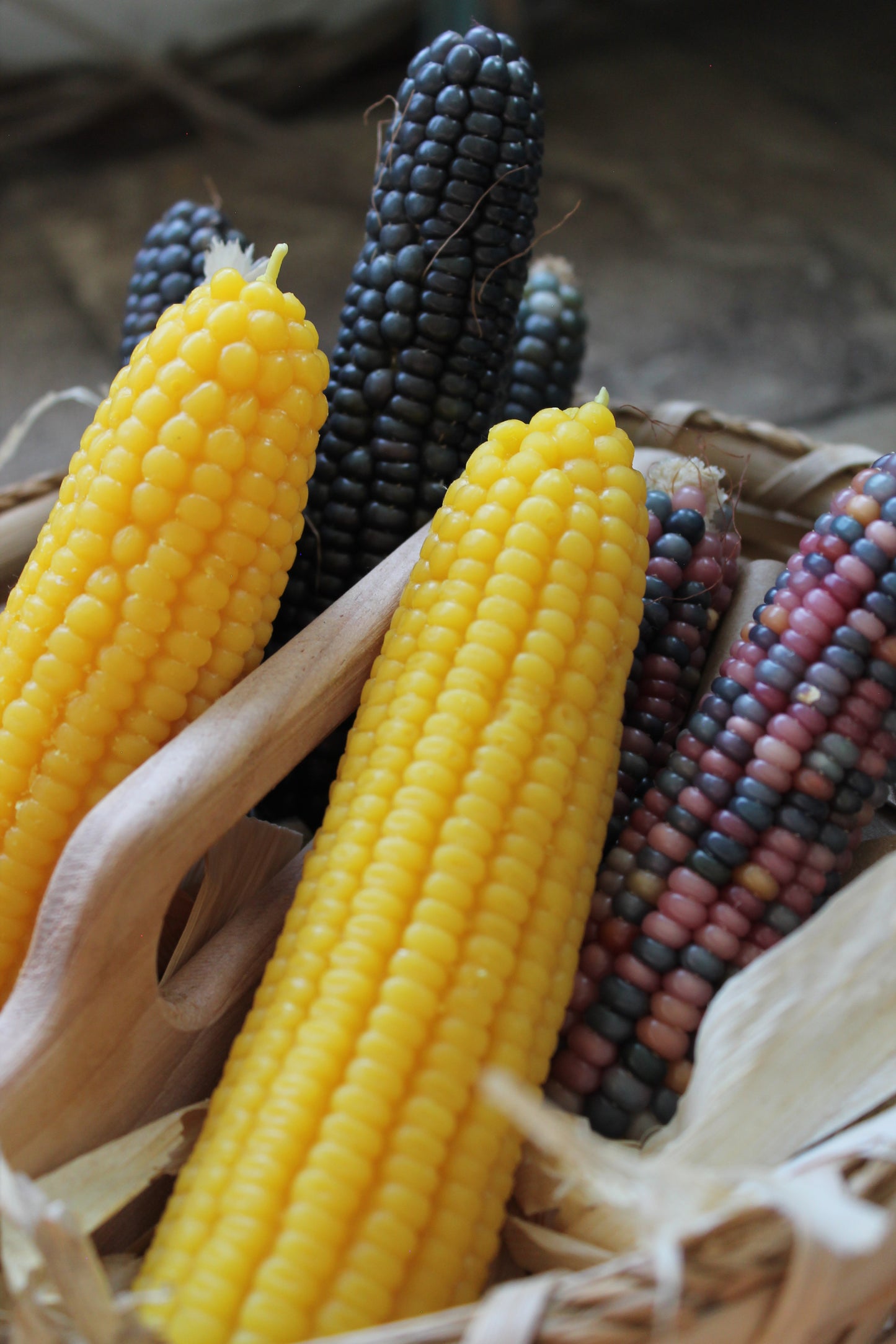 Corn