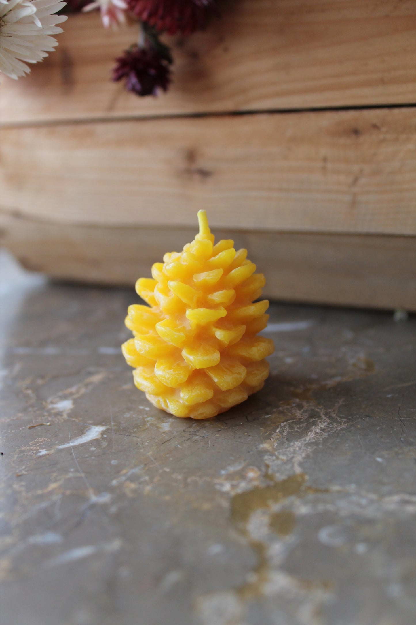 Pinecone Candle